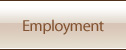  Employment - Allen, Shepherd, Lewis & Syra, P.A.