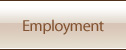  Employment - Allen, Shepherd & Lewis, P.A.